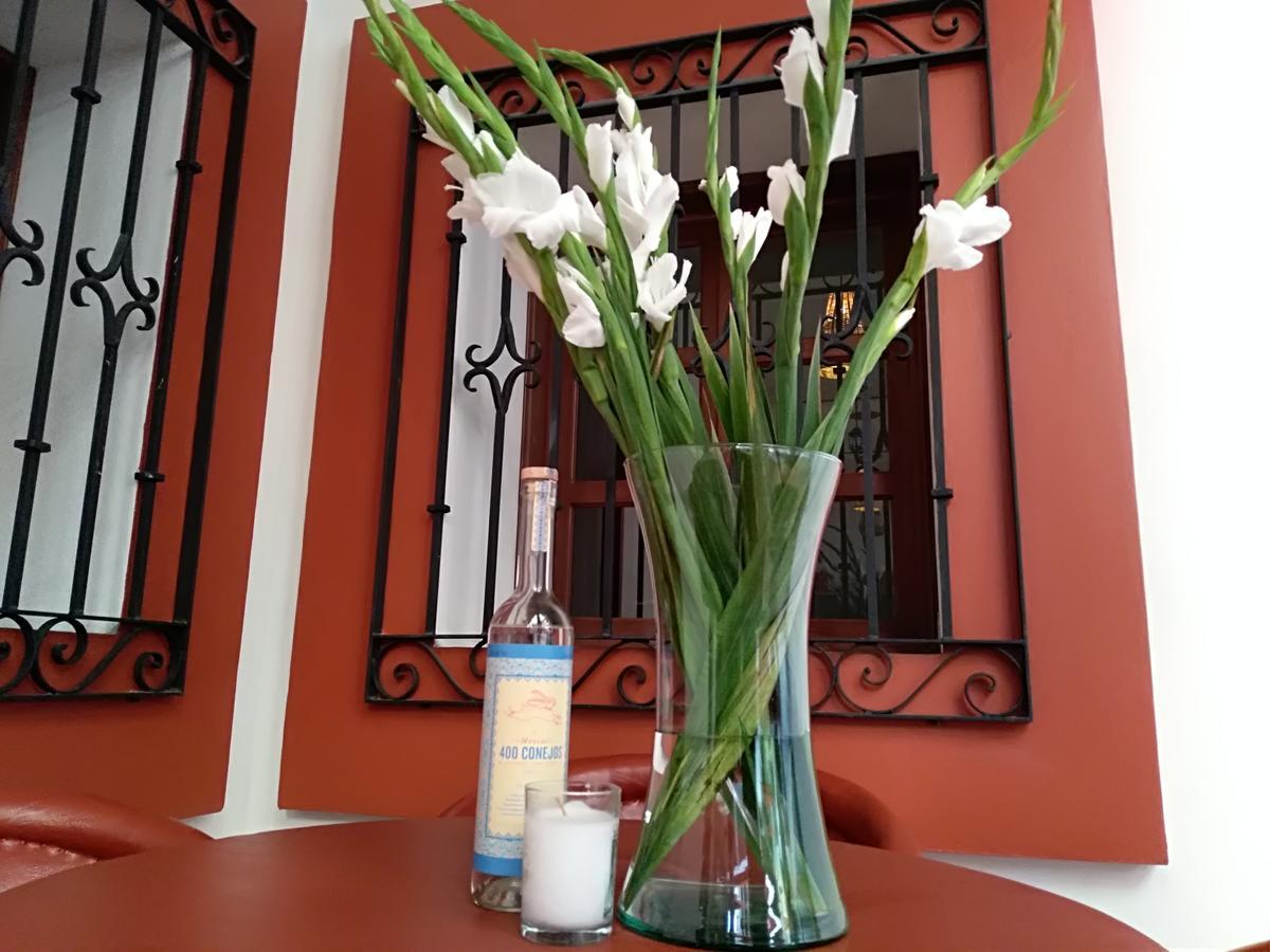 Casa Agave Oaxaca Bed & Breakfast エクステリア 写真