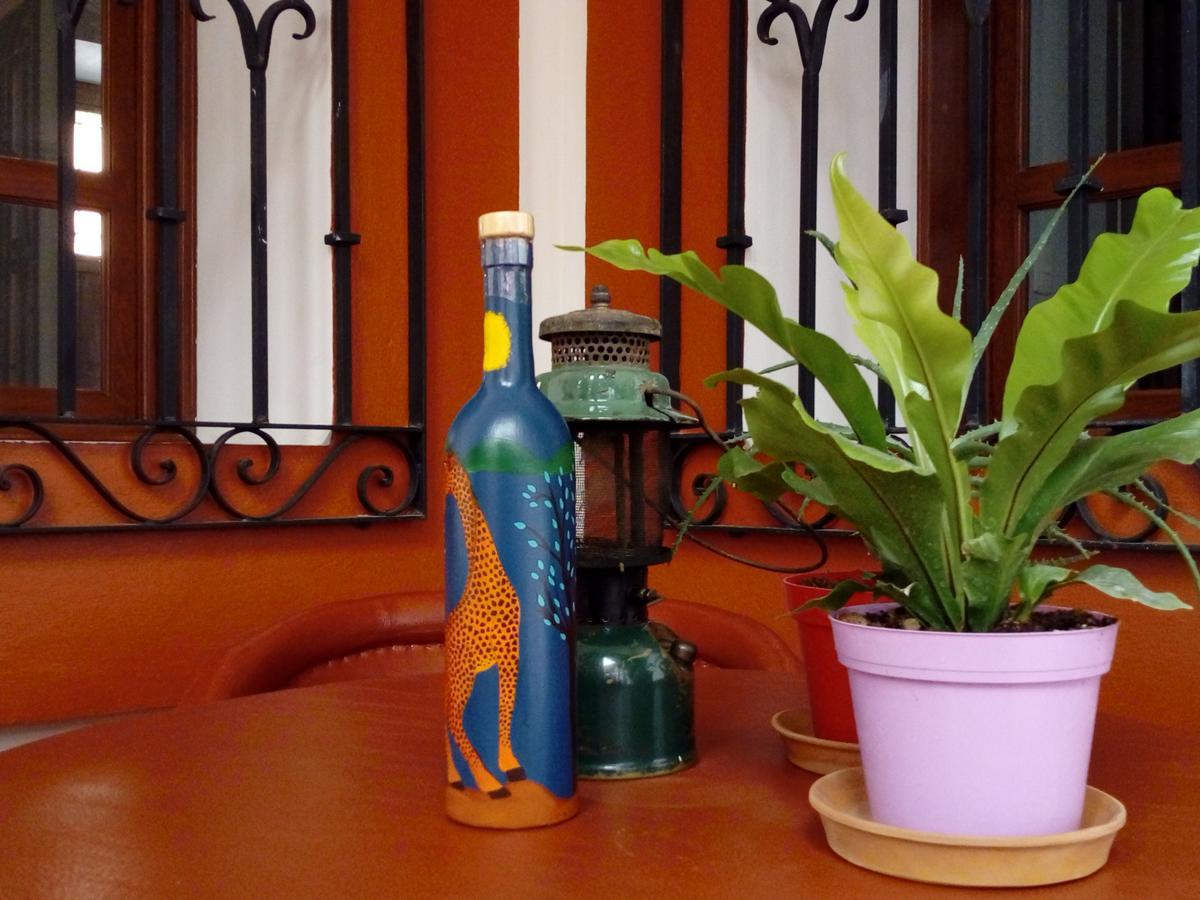 Casa Agave Oaxaca Bed & Breakfast エクステリア 写真