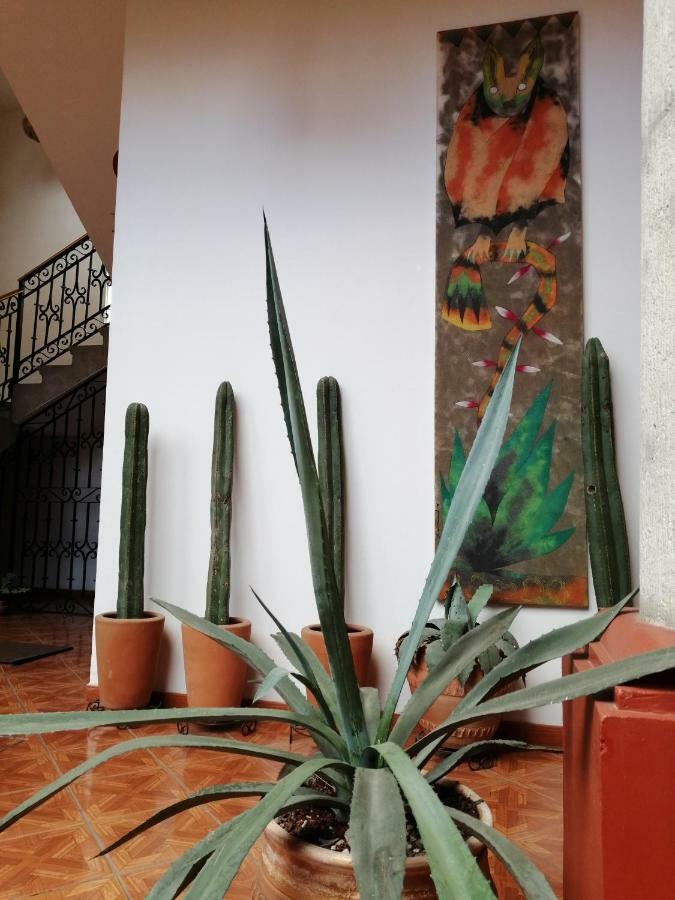 Casa Agave Oaxaca Bed & Breakfast エクステリア 写真