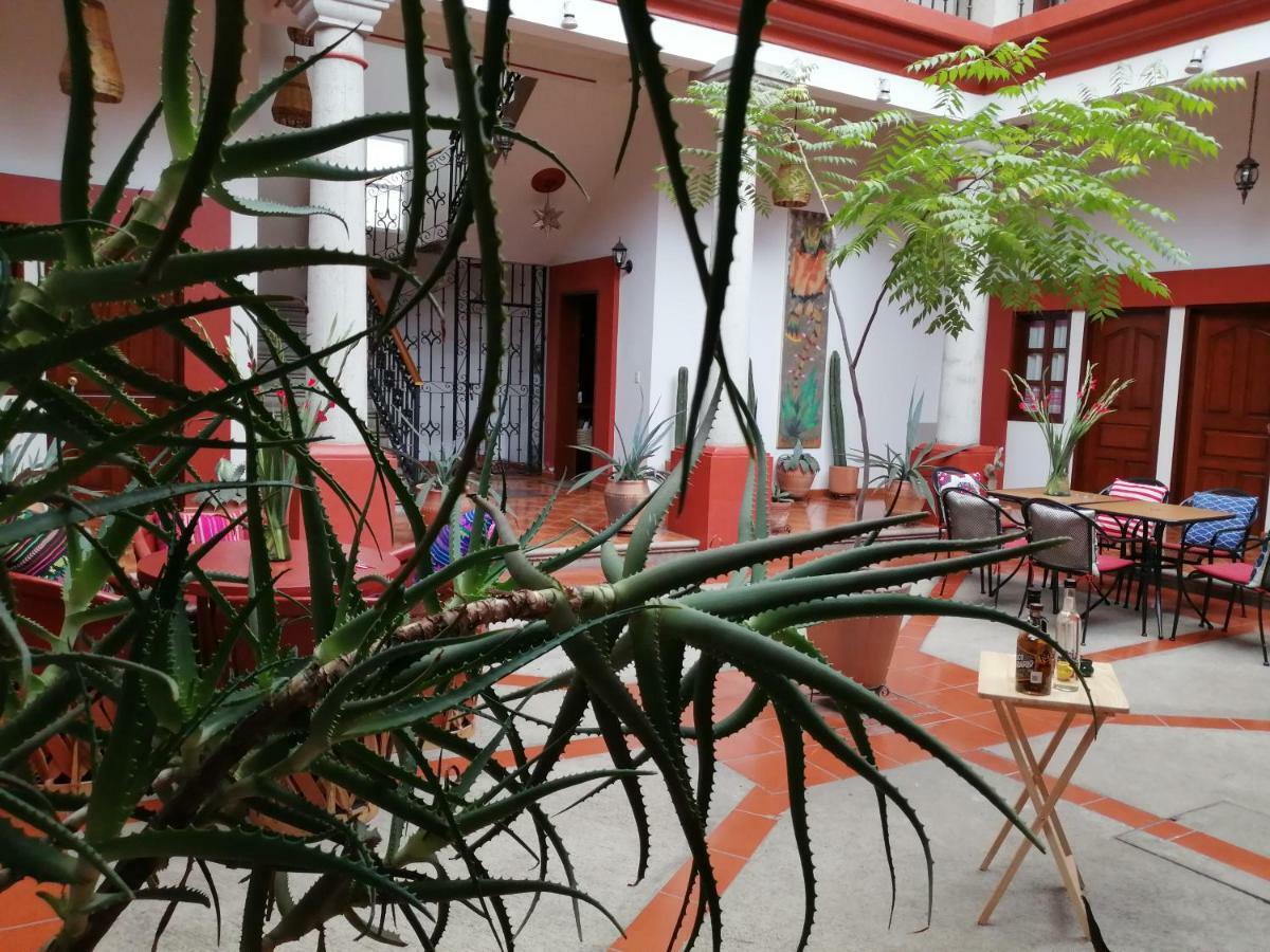 Casa Agave Oaxaca Bed & Breakfast エクステリア 写真